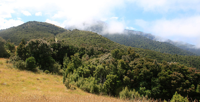 New Zealand/ Kaikoura