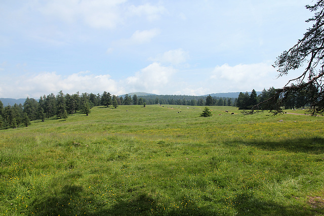 Möltner Joch (PicinPic)