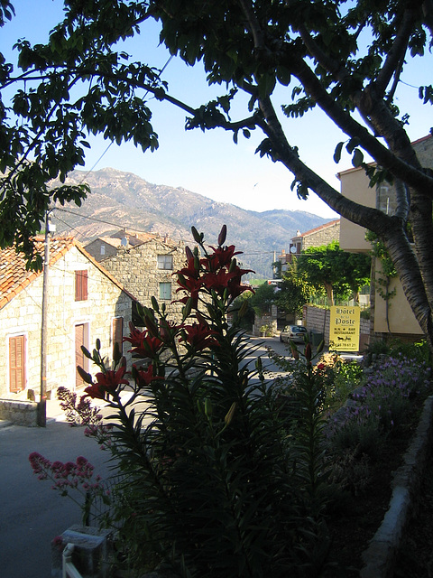 Aullène - Corse 2014