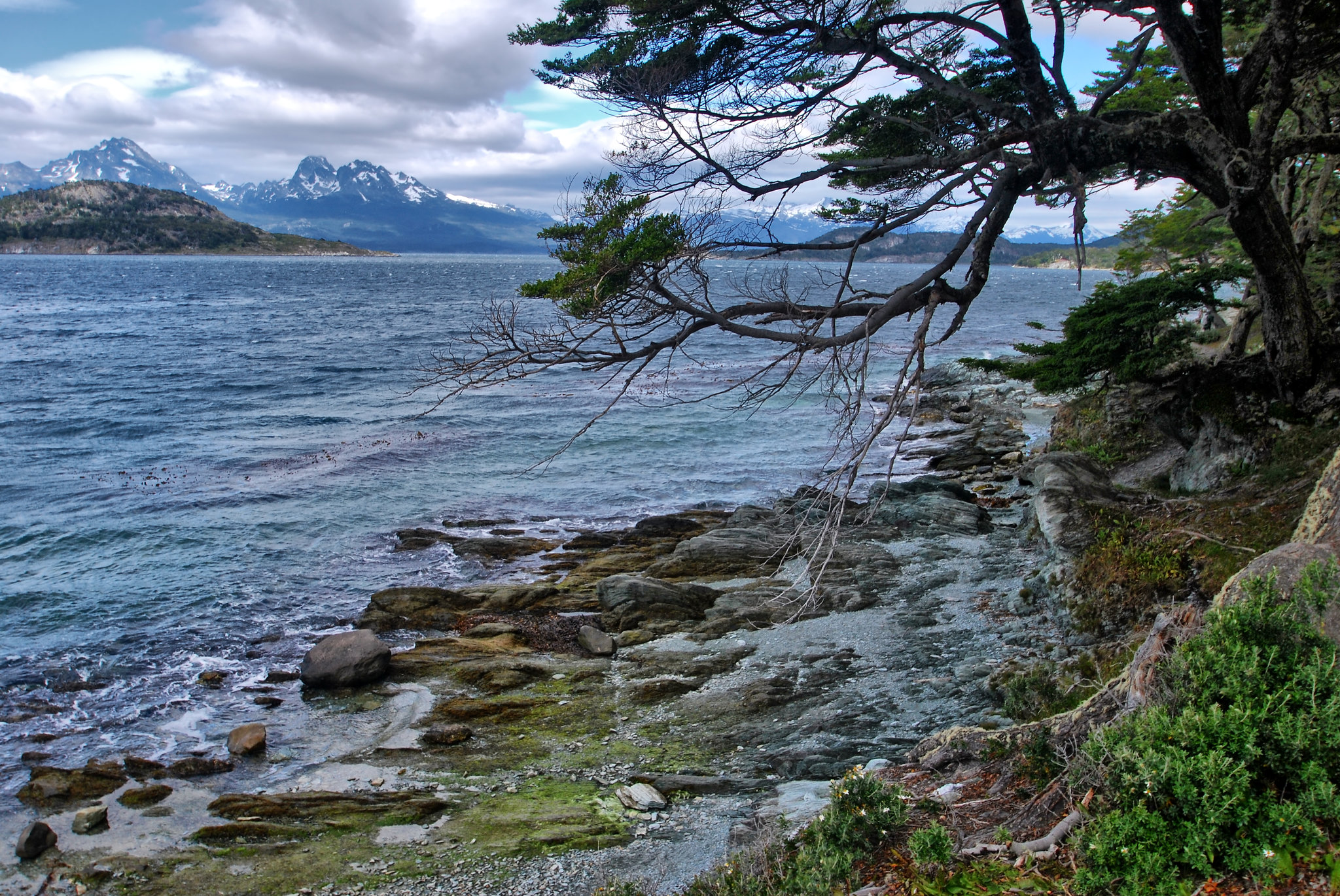 Tierra de Fuego  -  Bahía Lapataia