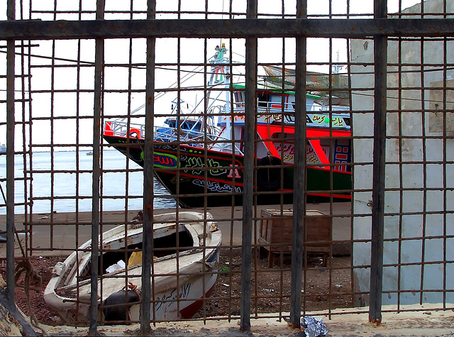 #8 - Paolo Tanino - Port Said - canale di Suez - zona di confine al porto dei pescatori - 51̊ 0points