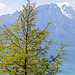 190523 Montreux quai