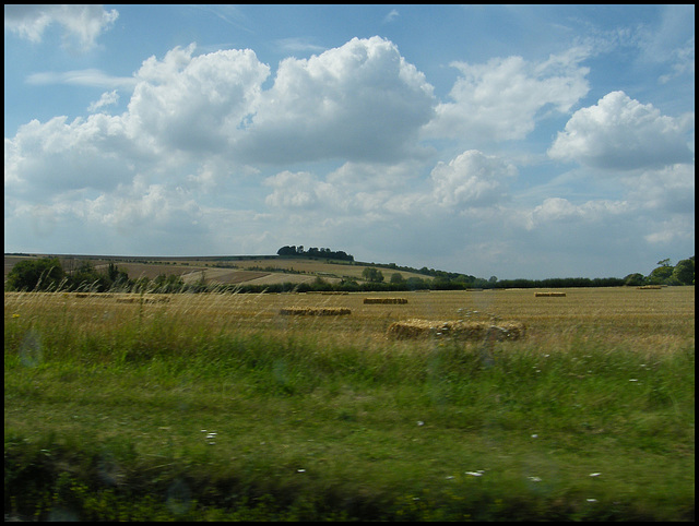 Wiltshire landscape