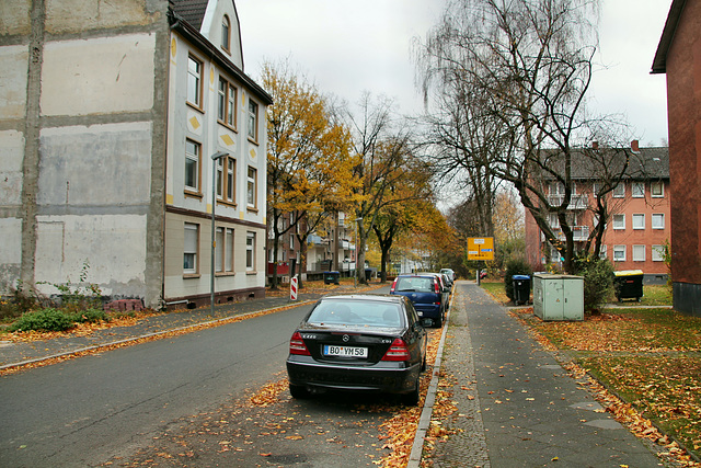 Dannenbaumstraße (Bochum-Laer) / 20.11.2018