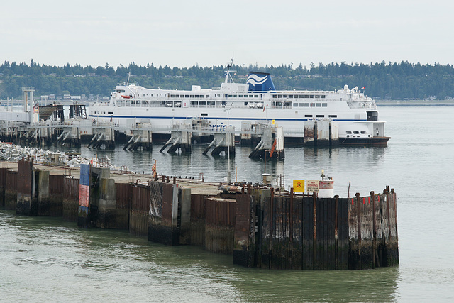 Ferry At Tsawwassen