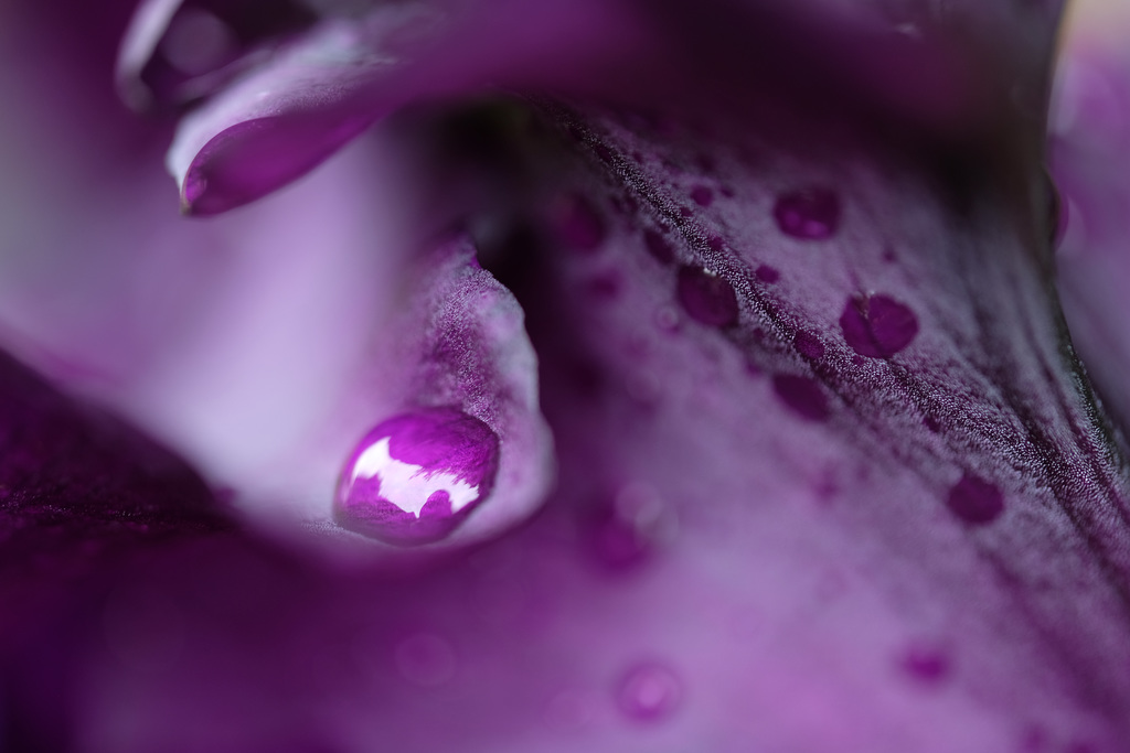 DSCF9873