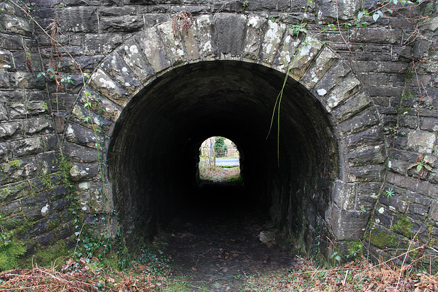 Bridge under the Railway