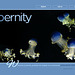 ipernity homepage with #1191