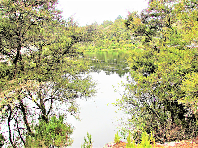 Reflections On Lake Waipapa