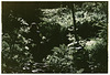 Camouflage