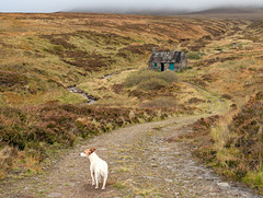 Allt Scheicheachan Bothy Allt Scheicheachan Bothy