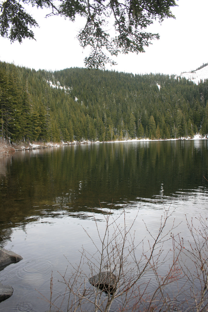 Olallie Lake