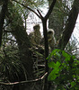 Baby Cooper's hawks