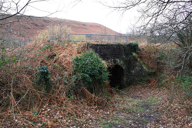 Bridge under the Railway