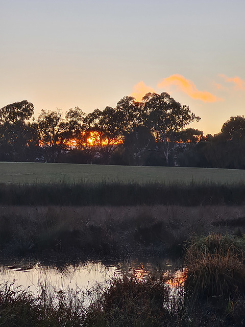 Winter wetland sun's up