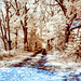 Sonniger Weg (infrarot)