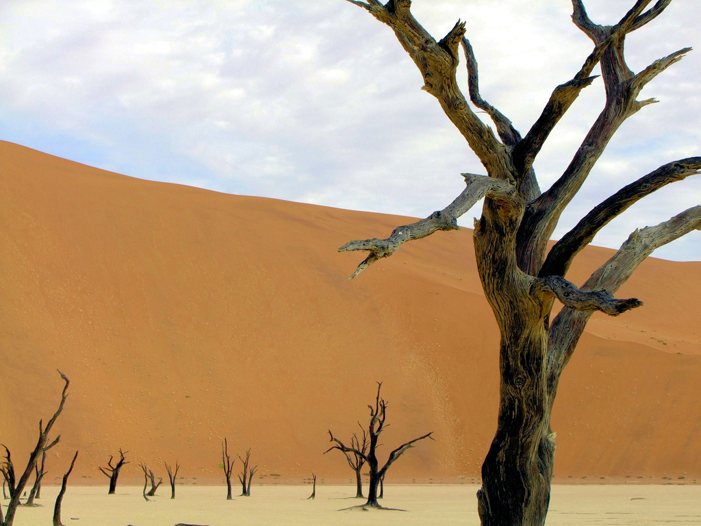 Dead in Deadvlei