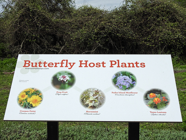 Day 2, Butterfly Host Plants sign, Connie Hagar C S