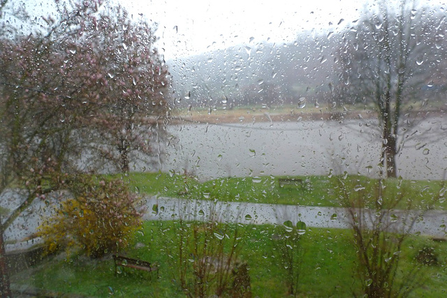 Sturm im Elbtal - ŝtormo en Elbvalo