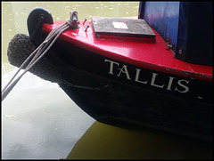 Tallis