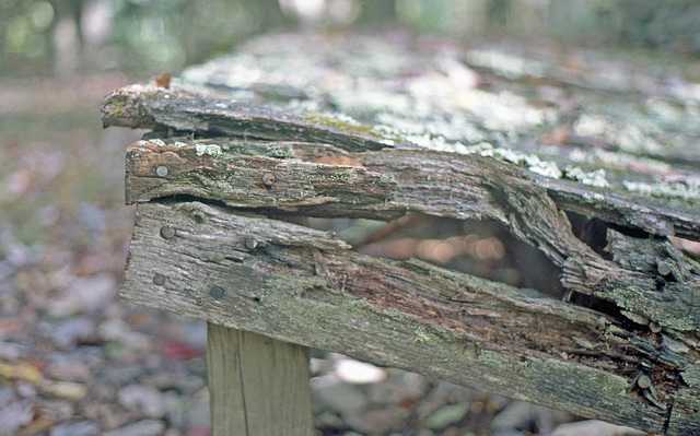 Old Wood Old Wood