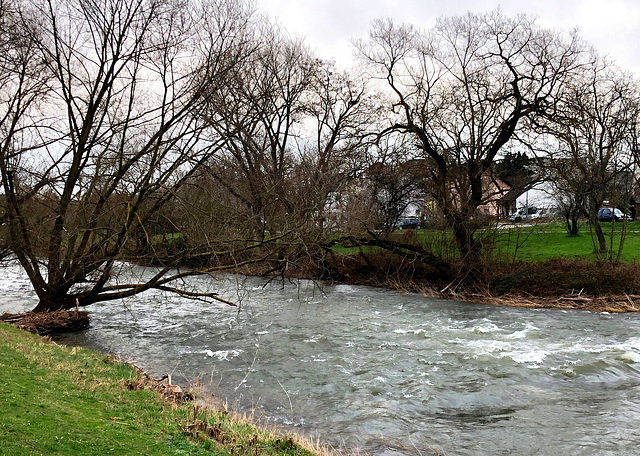 Ahrufer bei Bachem