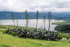 Lago la Angostura - Tafí del Valle