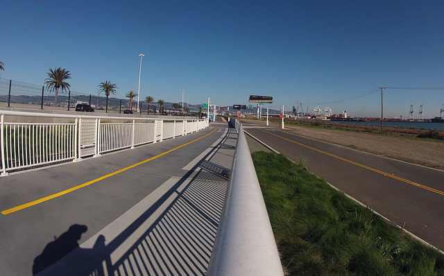 Alexander Zuckermann Bicycle-Pedestrian Path (0033)