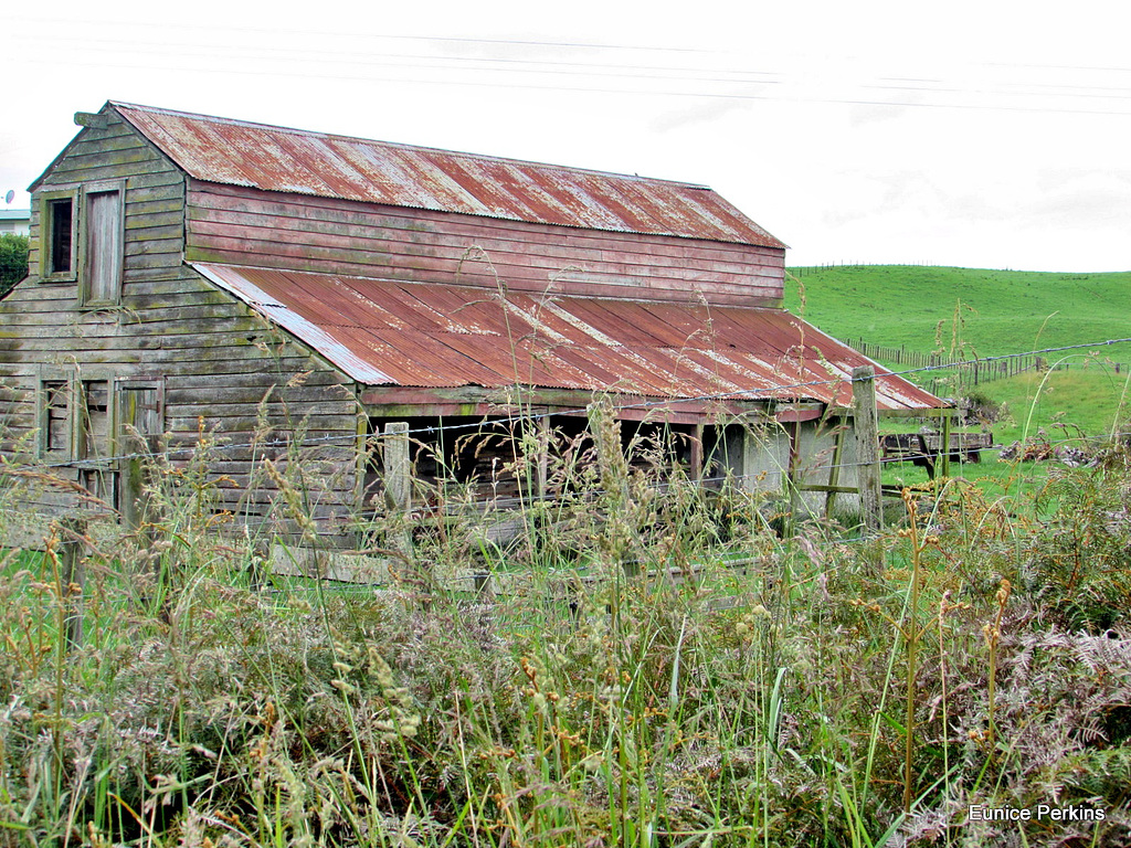 Well-Weathered Shed.