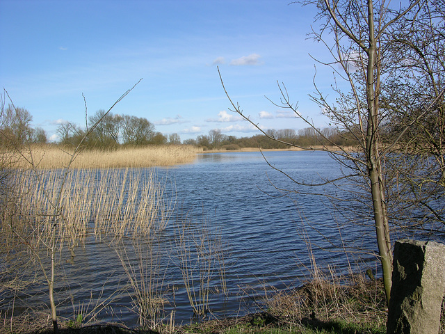 Bucht an der Süderelbe in Neuland