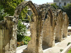 02-Palais des Papes