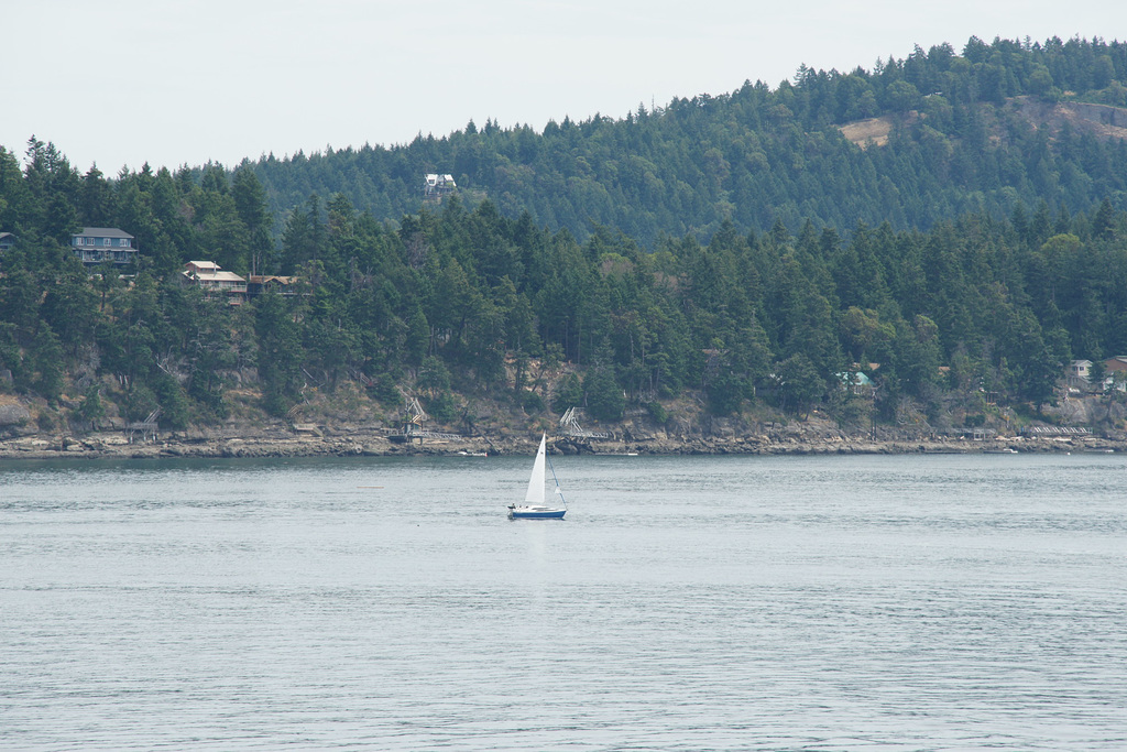 Sailing Boat Near Mayne Island