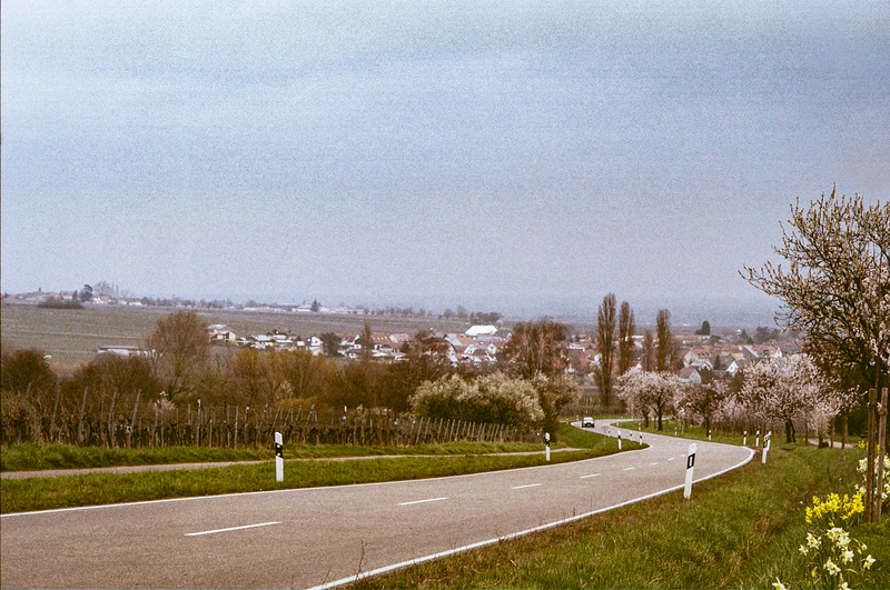 Frühlingsanfang in der Südpfalz