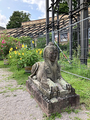 Live Egyptian Sphinx in the Botanical Garden