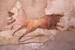 Fresco, Pompeji, fast 2000 Jahr alt.