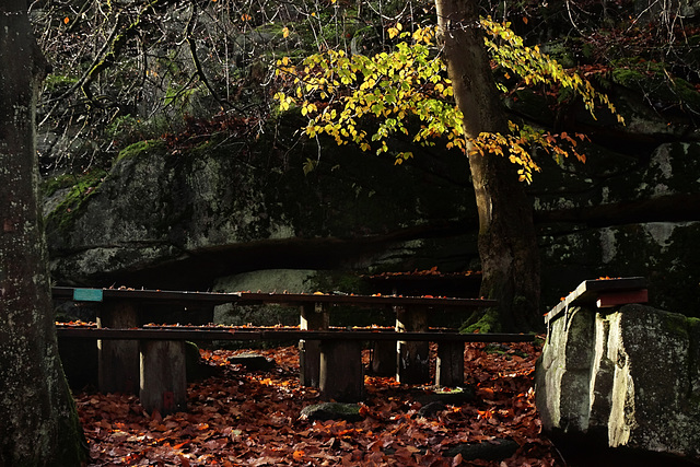 Herbst.Bank.Montag.