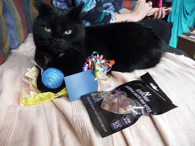 Cashew's Easter