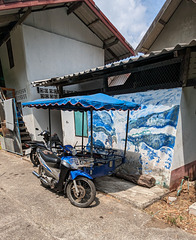 Fresque tuktukienne / Tuktuking fresco