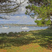 A. view through the trees.