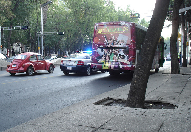 Bus, Police & VW.