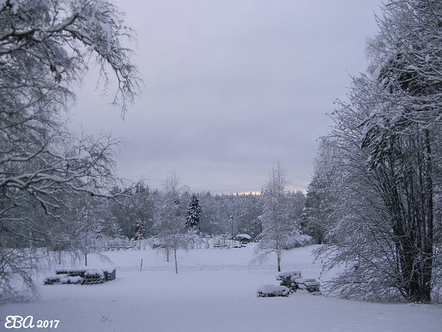 Winter Landscape