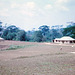 May1964Cameroons - 0037