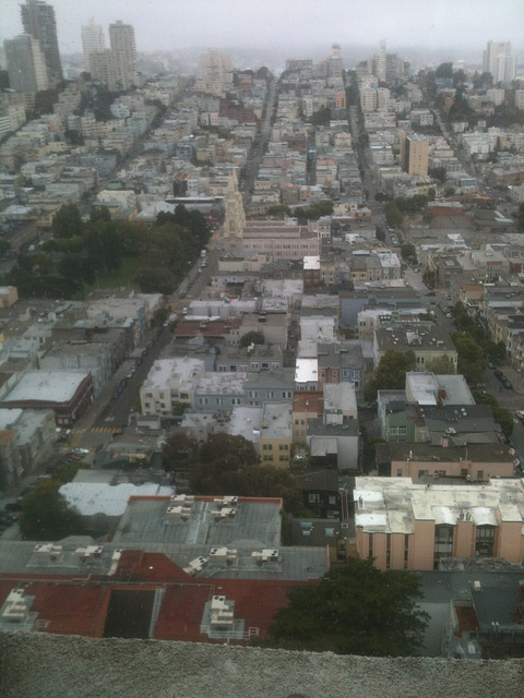 IMG 0561