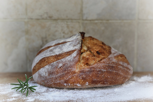 potato & rosemary bread 42