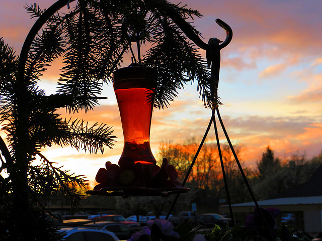 Evening on our patio.