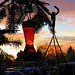 Evening on our patio.