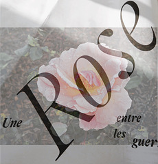 une rose entre les guerres