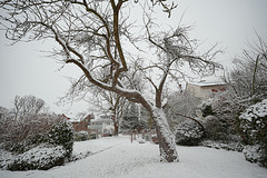 Winterintermezzo (4 PiPs)