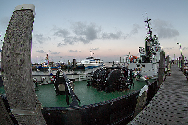 20140912 5267VRFw [NL] Schiff, Terschelling