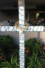 "Faith Over Fear"  ..  day light shot ,   (with the Crown of Thorns for the Easter Season)  see info